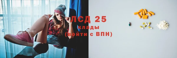 прущие грибы Пестово