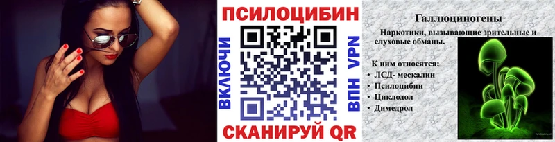 Псилоцибиновые грибы Psilocybe  KRAKEN зеркало  Пятигорск  где купить наркоту 